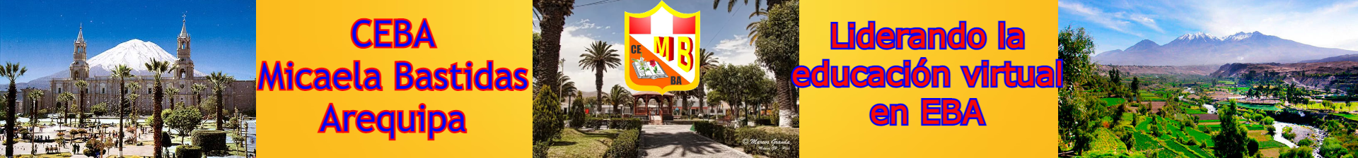 AV CEBA MICAELA BASTIDAS